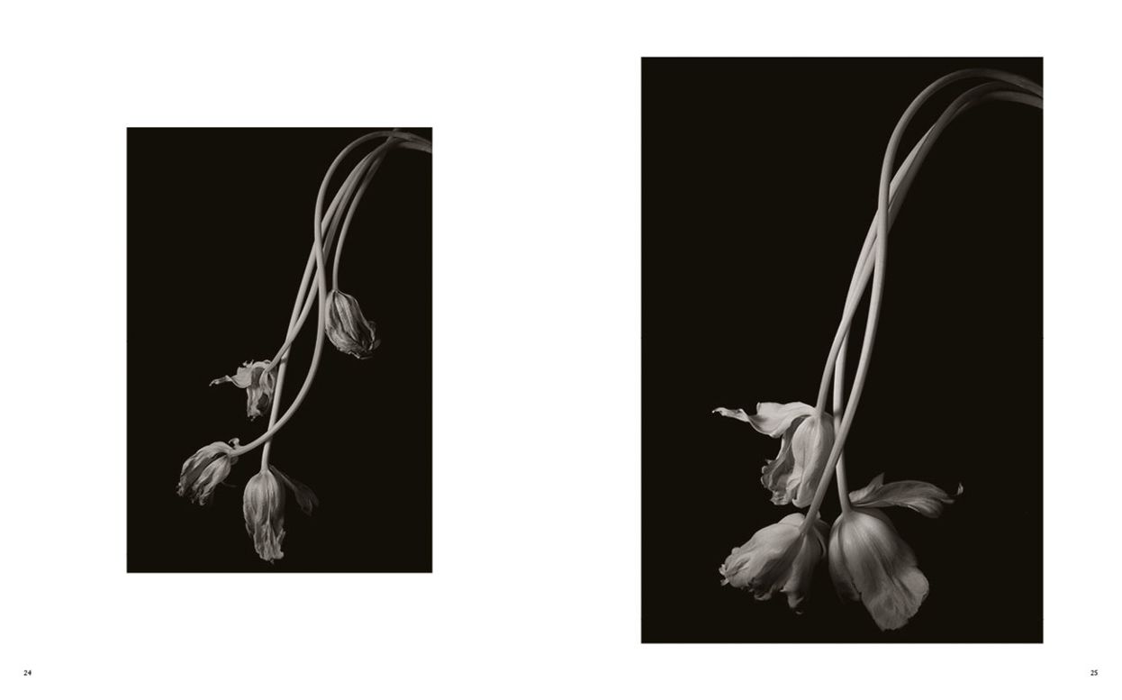 Kenro Izu: Seduction
