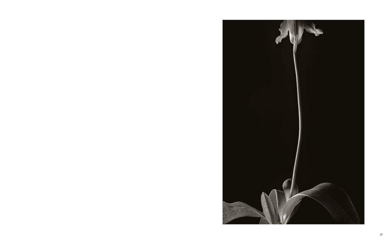 Kenro Izu: Seduction