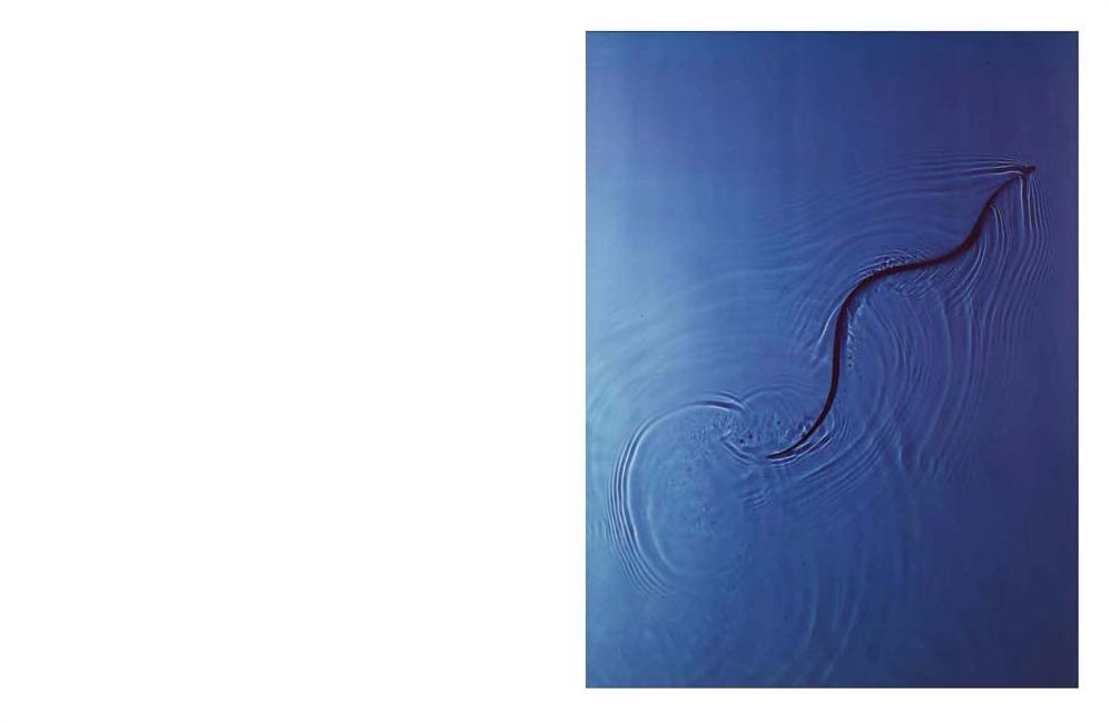 Adam Fuss: Water