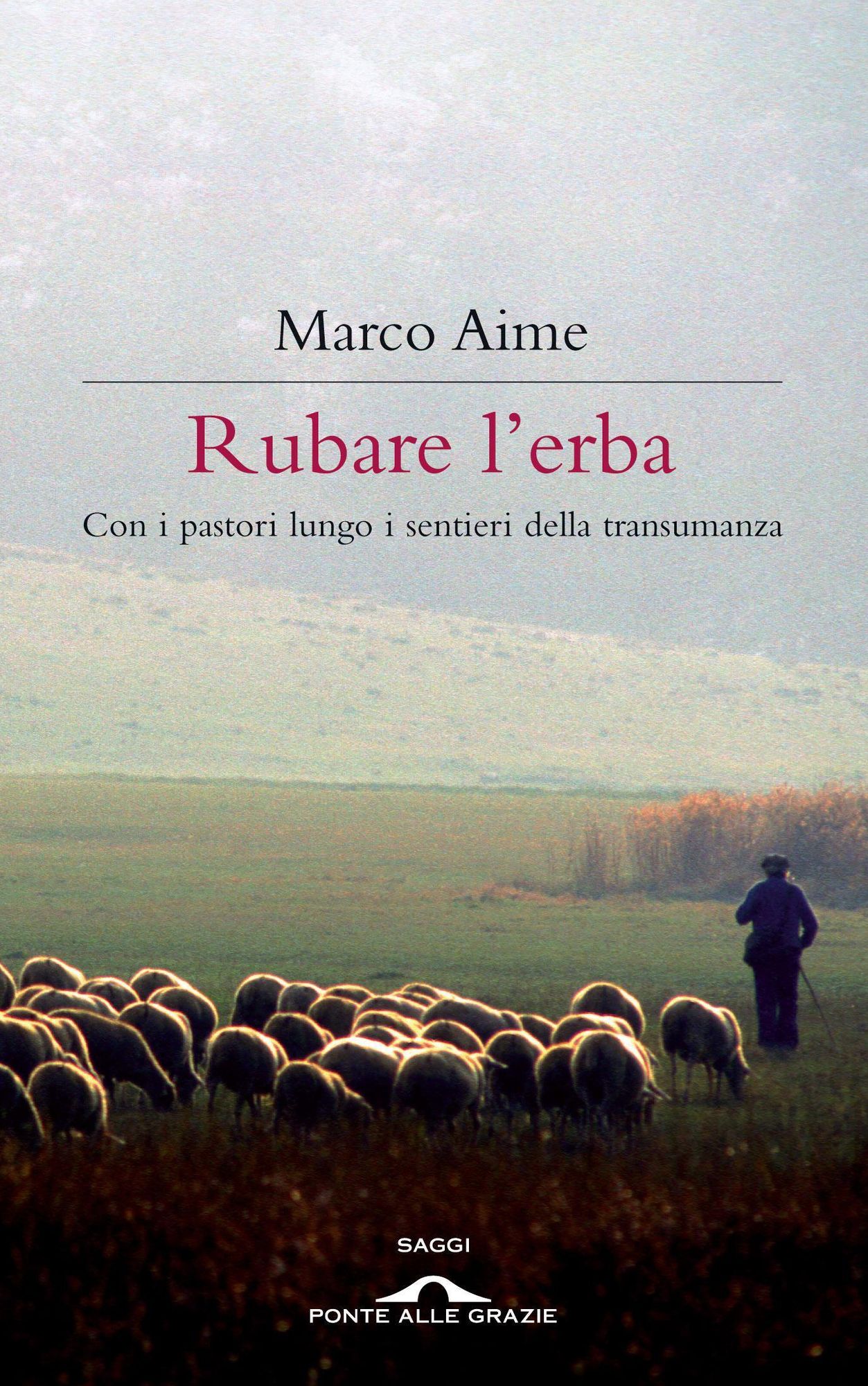 Rubare l'erba