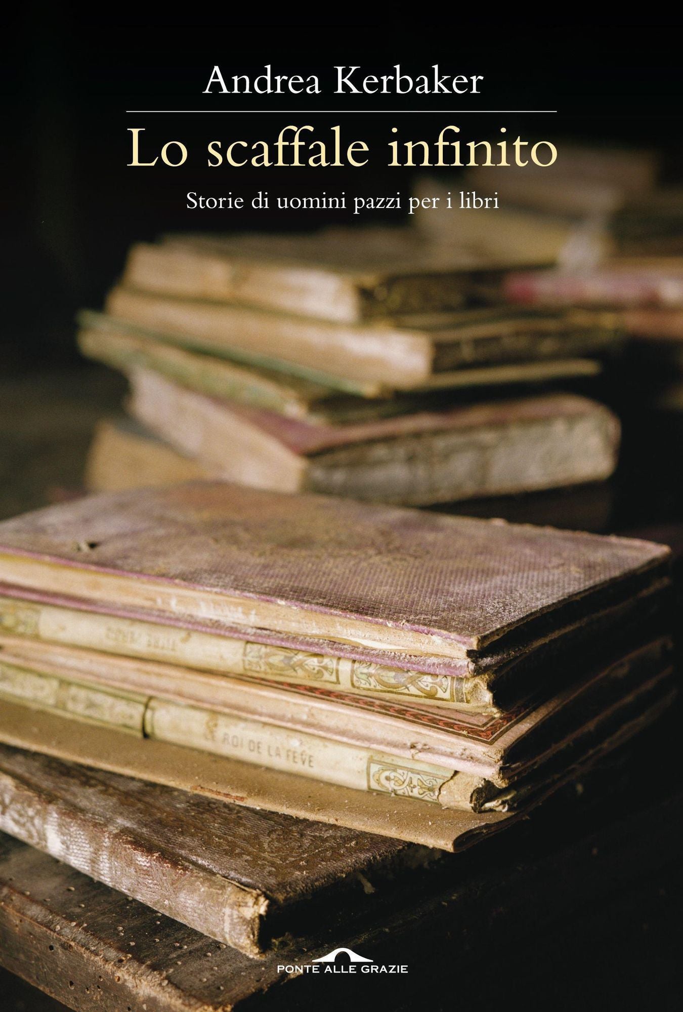 Lo scaffale infinito: Storie di uomini pazzi per i libri