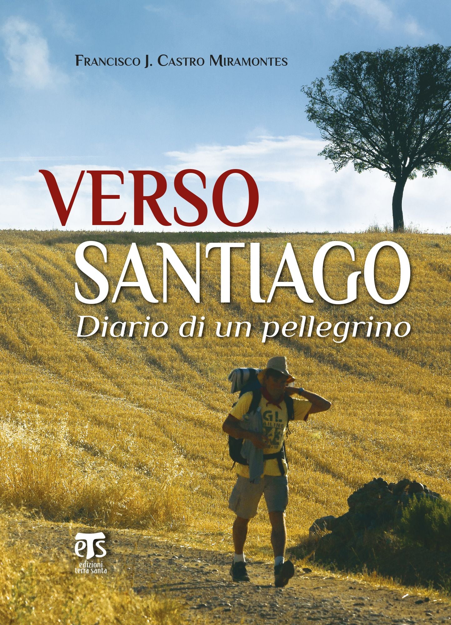 Verso Santiago: Diario di un pellegrino