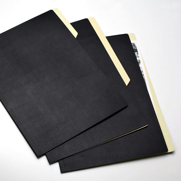 Moleskine Folio Professional Black File Folders