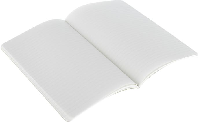 Moleskine Volant Notebook (Set of 2 ), Large, Ruled, Emerald Green, Oxide Green, Soft Cover (5 x 8.25)