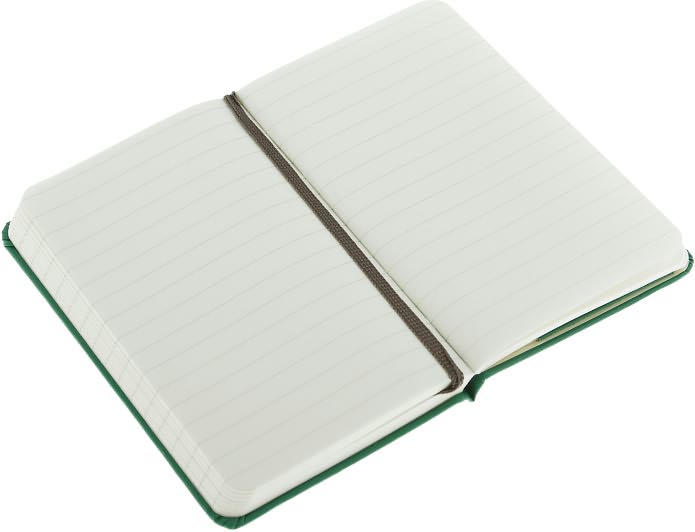 Moleskine Classic Notebook, Extra Small, Ruled, Oxide Green, Hard Cover (2.5 x 4)
