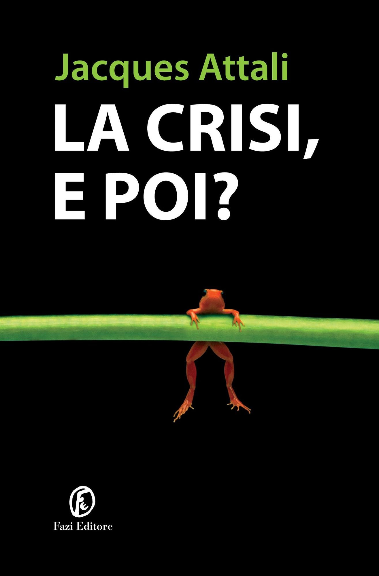 La crisi, e poi?