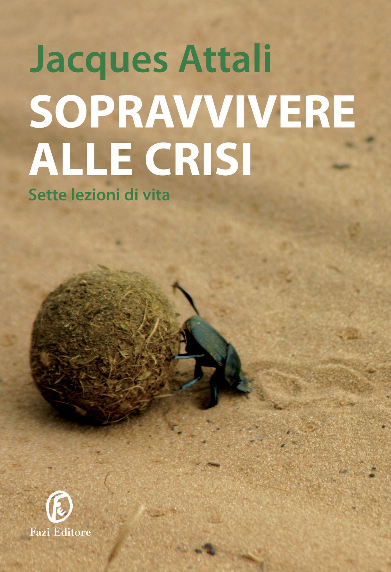 Sopravvivere alla crisi