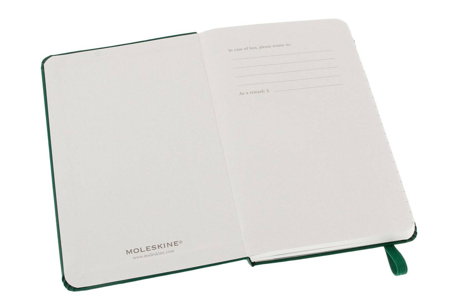 Moleskine Classic Pocket Ruled Oxide Green Notebook