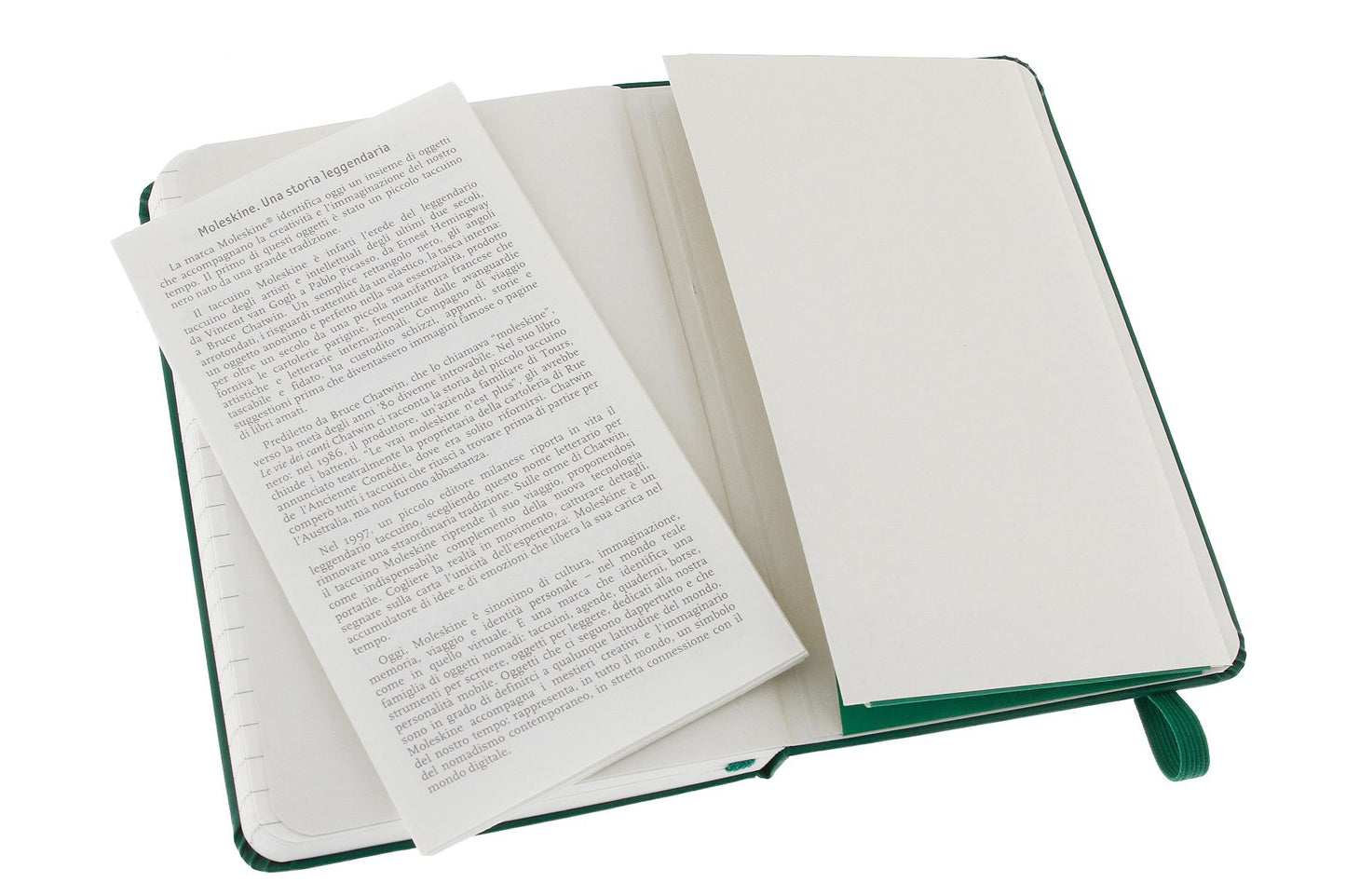 Moleskine Classic Pocket Ruled Oxide Green Notebook