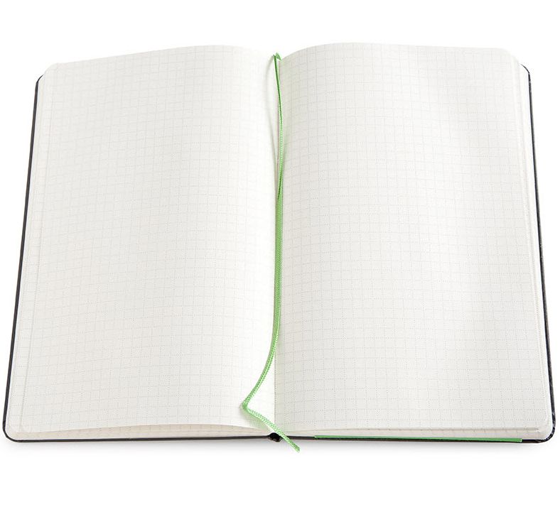 Moleskine Evernote Large Squared Smart Notebook