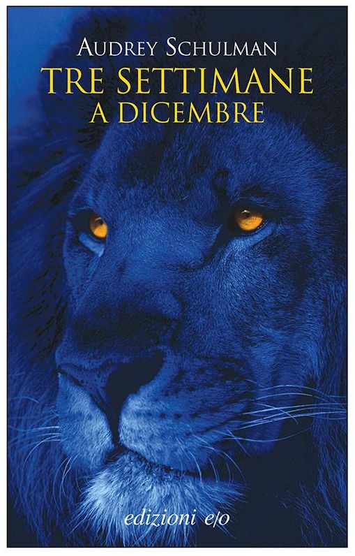 Tre settimane a dicembre