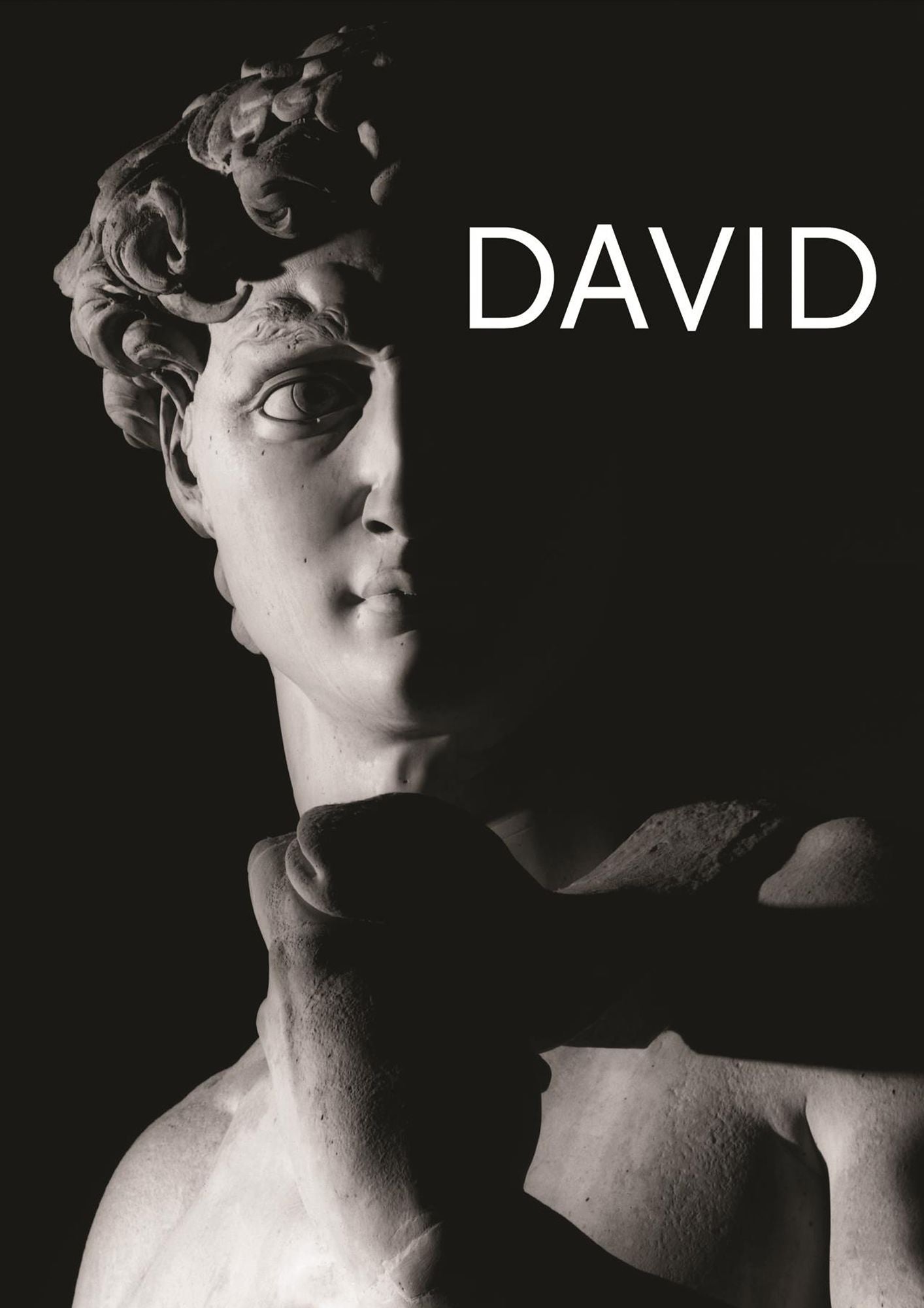 Michelangelo's David