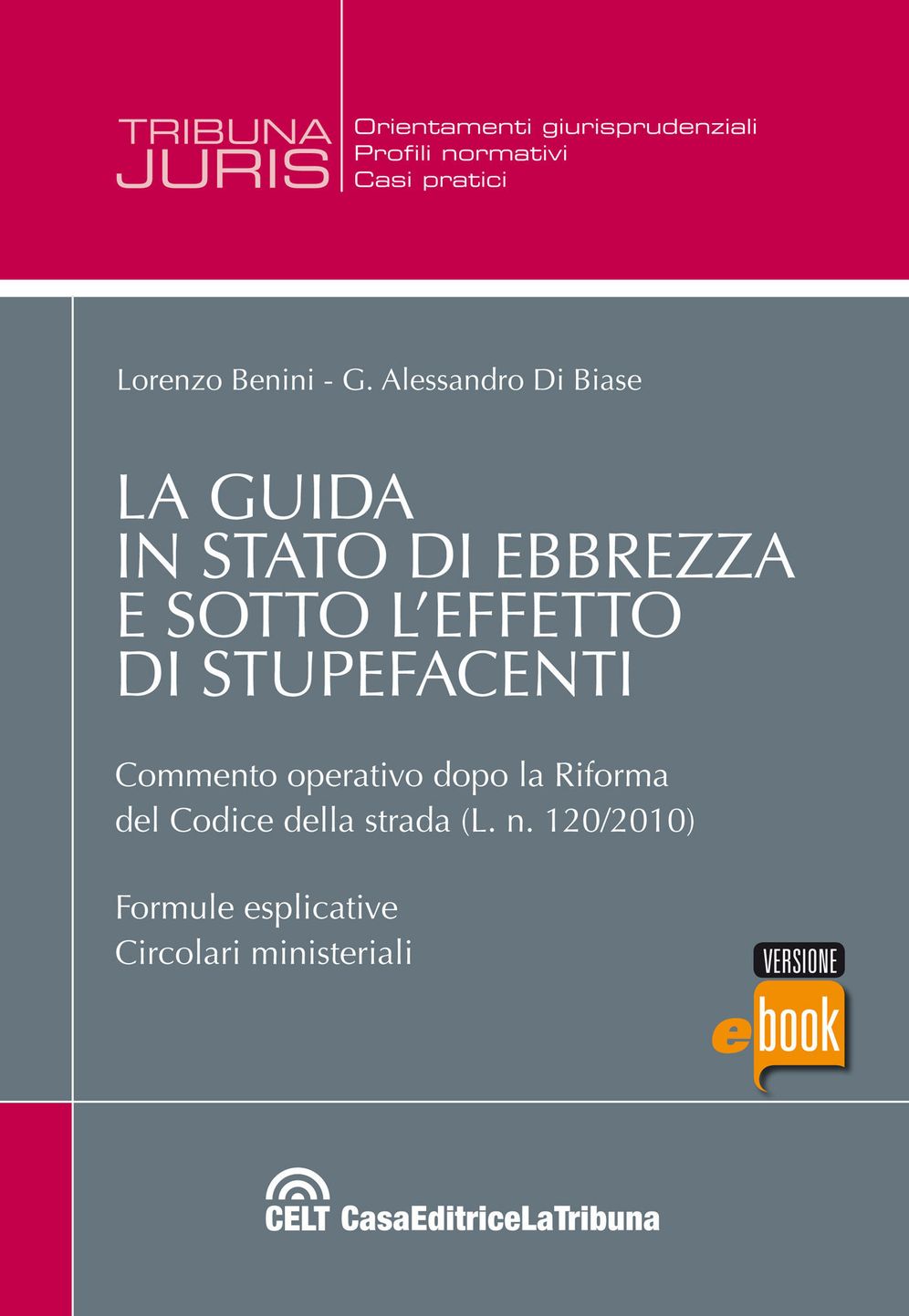 La guida in stato di ebbrezza e sotto l'effetto di stupefacenti