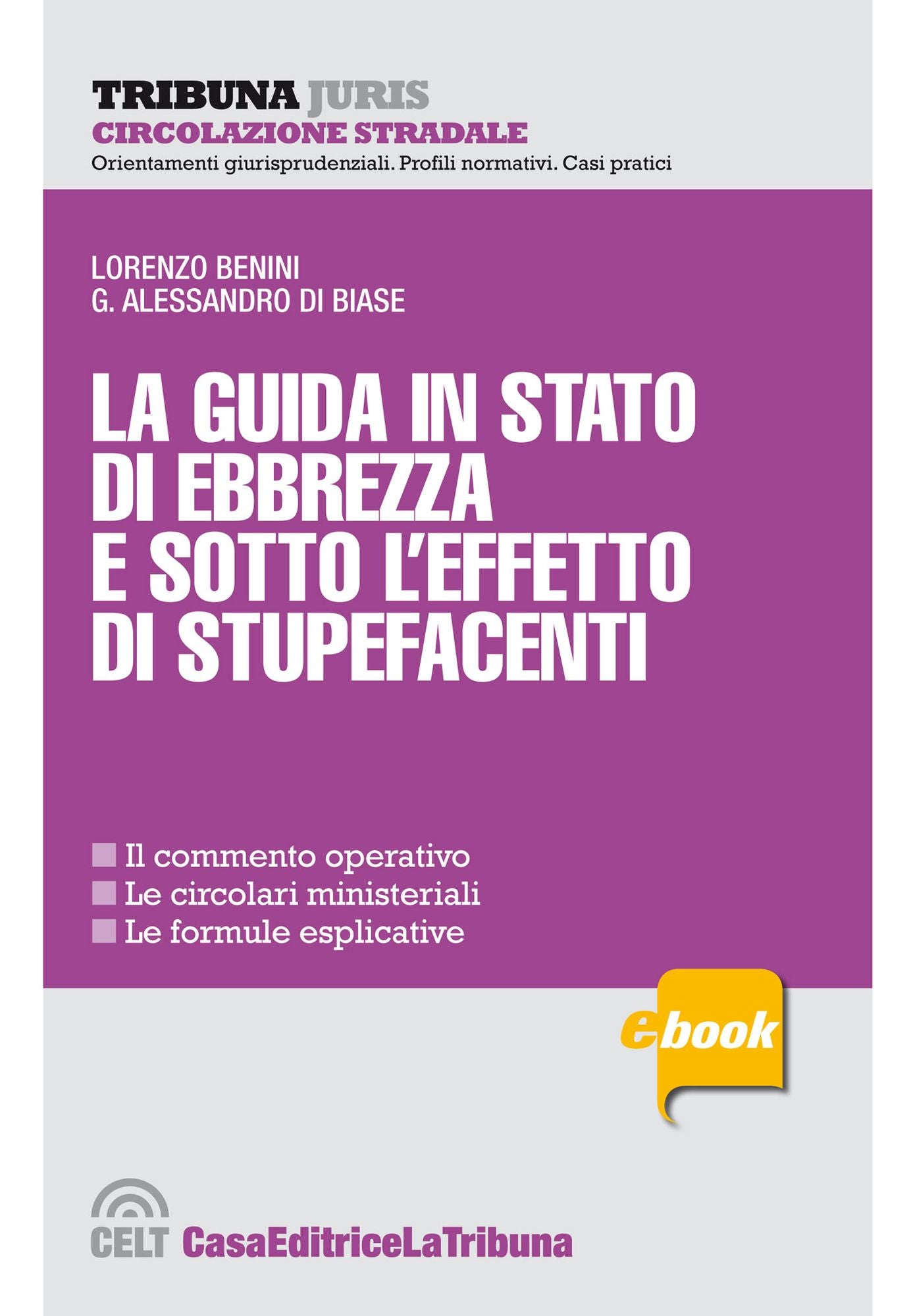 La guida in stato di ebbrezza e sotto l'effetto di stupefacenti