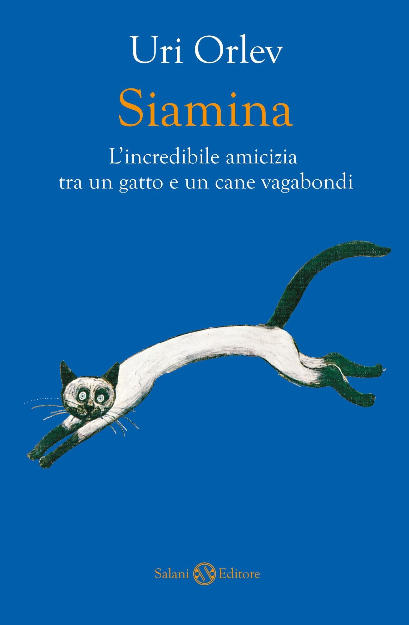 Siamina: L'incredibile amicizia tra un gatto e un cane vagabondi