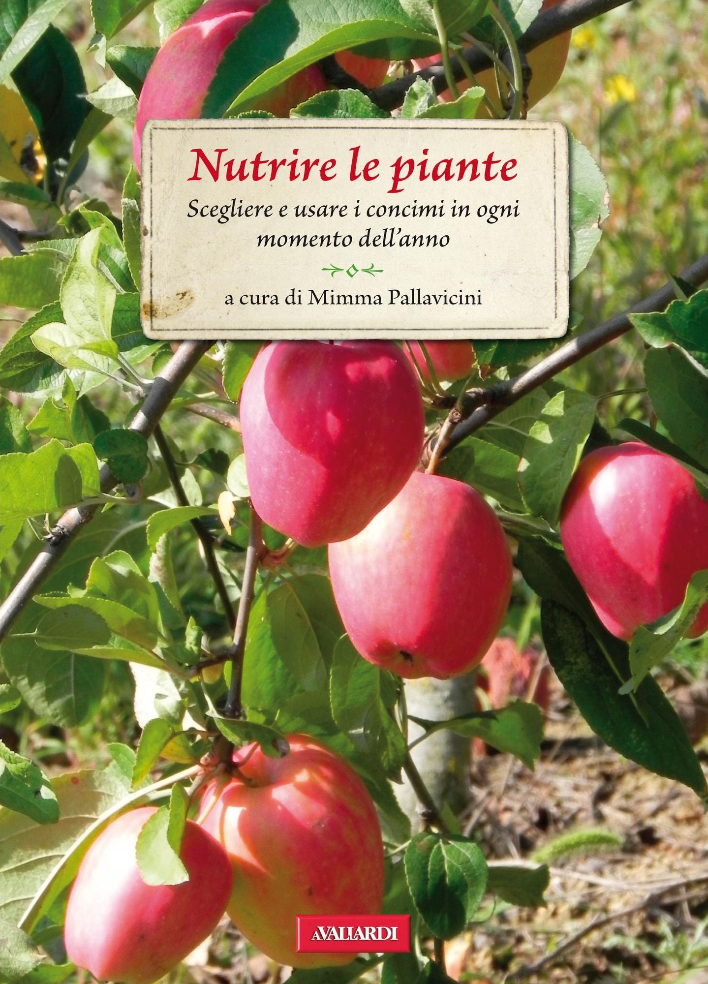 Nutrire le piante: Passione Verde