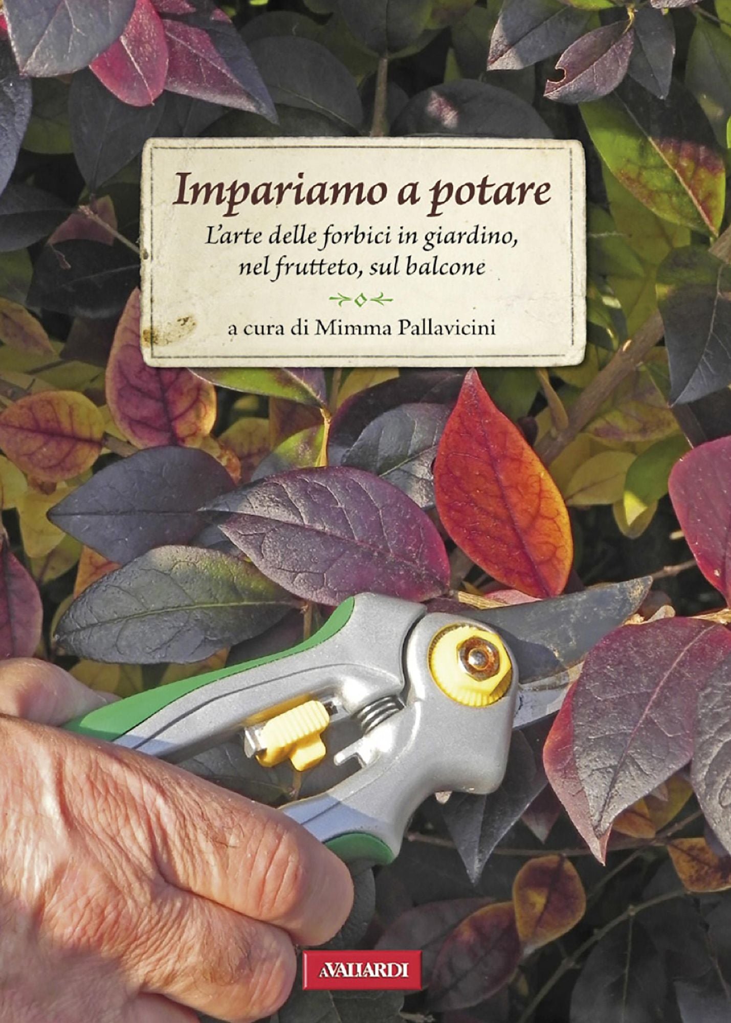 Impariamo a potare: L'arte delle forbici in giardino, nel frutteto, sul balcone