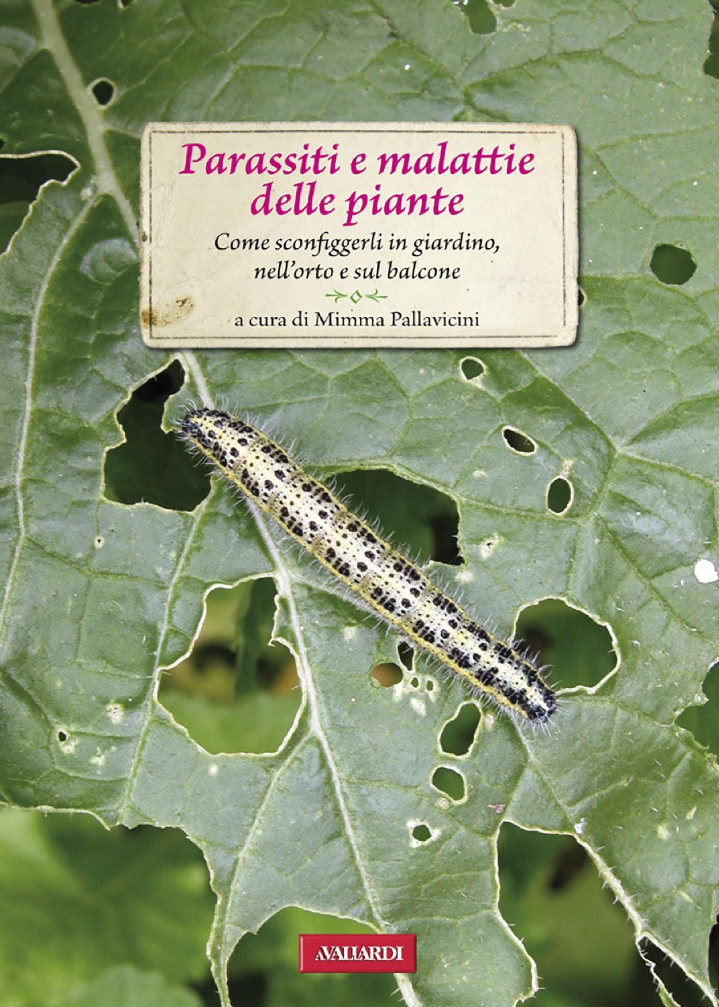 Parassiti e malattie delle piante: Come sconfiggerli in giardino, nell'orto e sul balcone