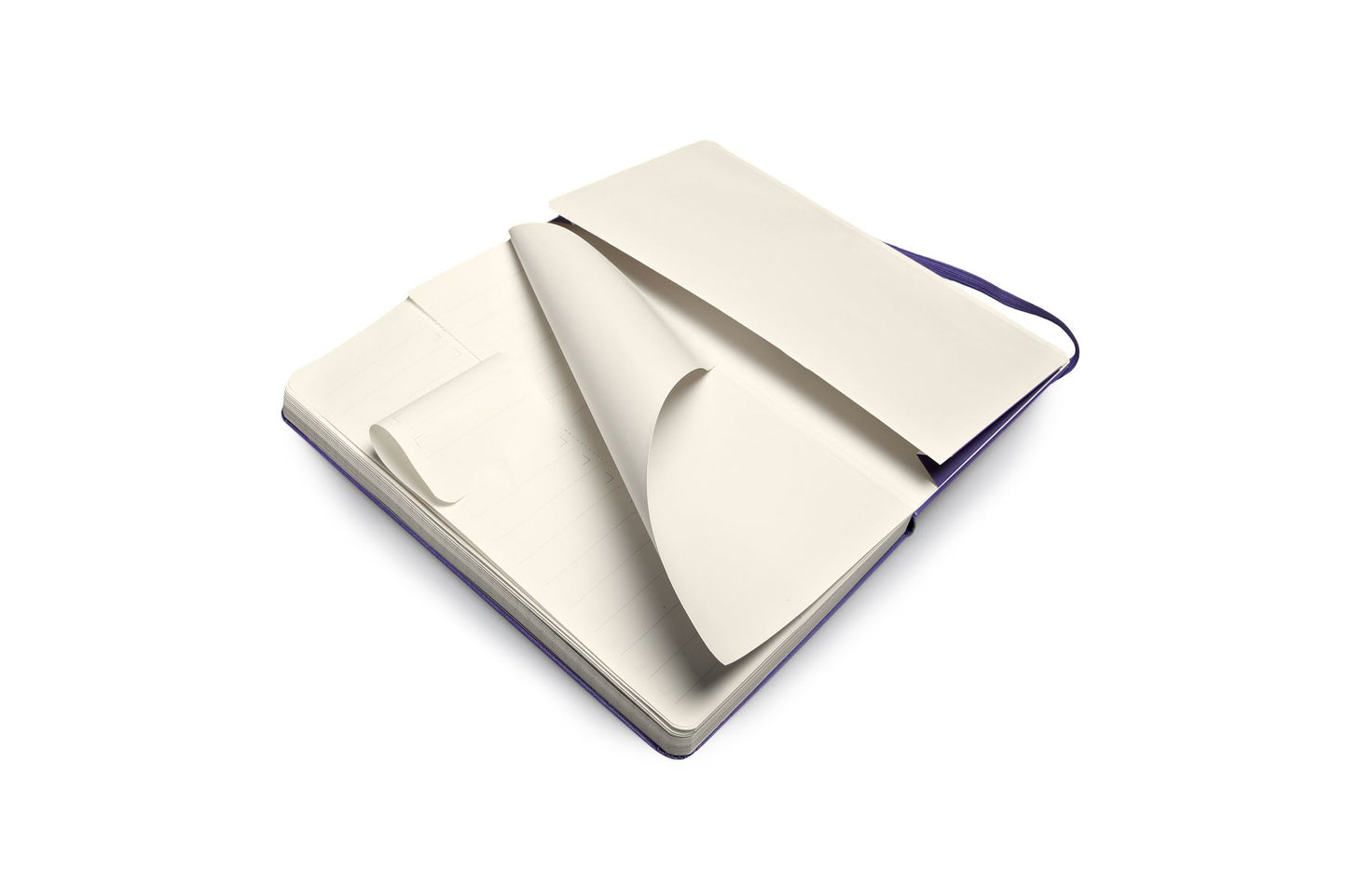 Moleskine Folio Professional Notebook, Large, Brilliant Violet, Hard Cover (5 x 8.25)