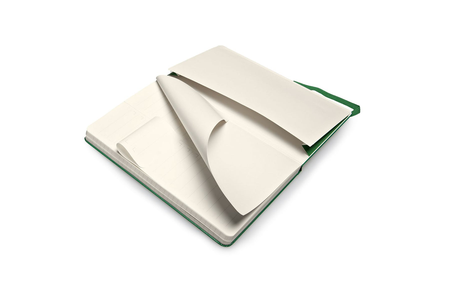 Moleskine Folio Professional Notebook, Large, Oxide Green, Hard Cover (5 x 8.25)