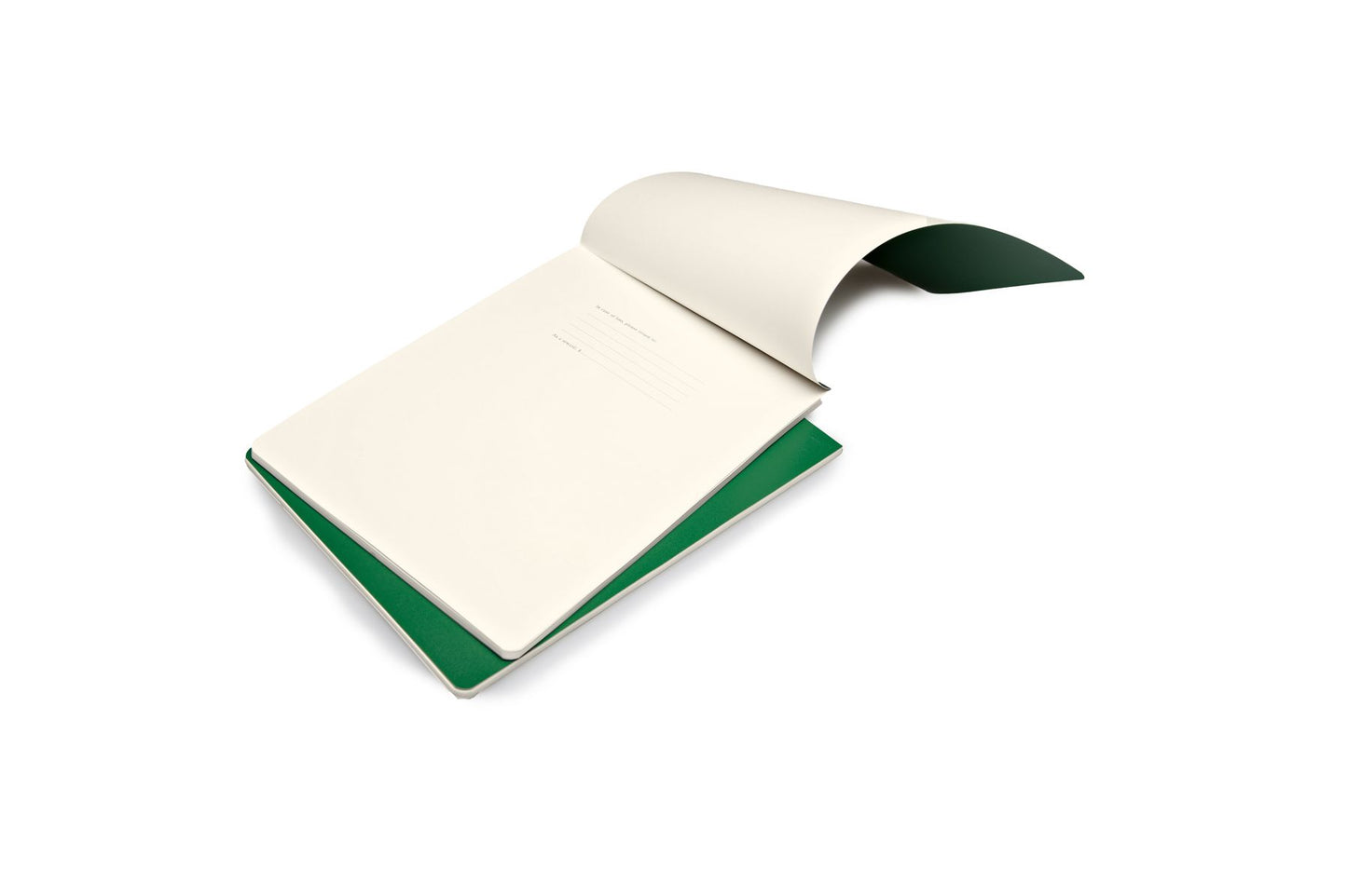 Moleskine Volant Reporter Refill Notebook for iPad, Plain, (Set of 2), Oxide Green (7 x 9)