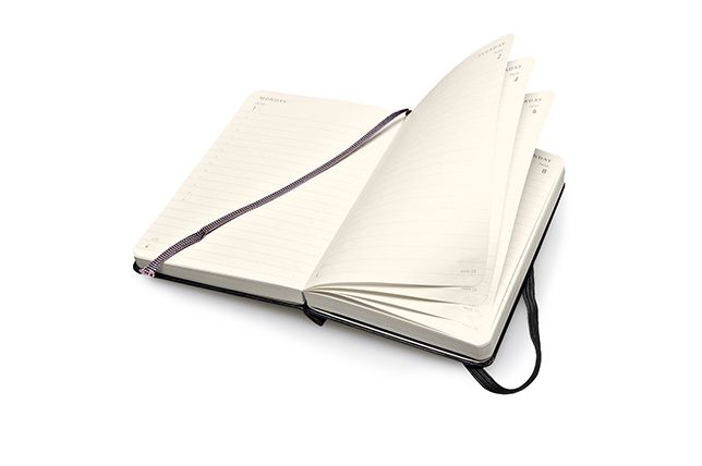 Moleskine 2015 Daily Planner, 12 Month, Pocket, Black, Hard Cover (3.5 X 5.5)