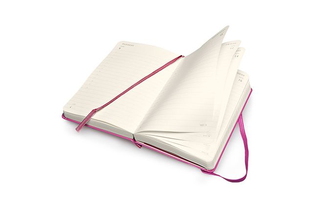 Moleskine 2015 Daily Planner, 12 Month, Pocket, Magenta, Hard Cover (3.5 X 5.5)