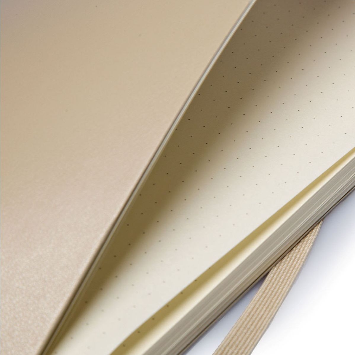 Moleskine Classic Soft Khaki Beige Large Dotted Notebook