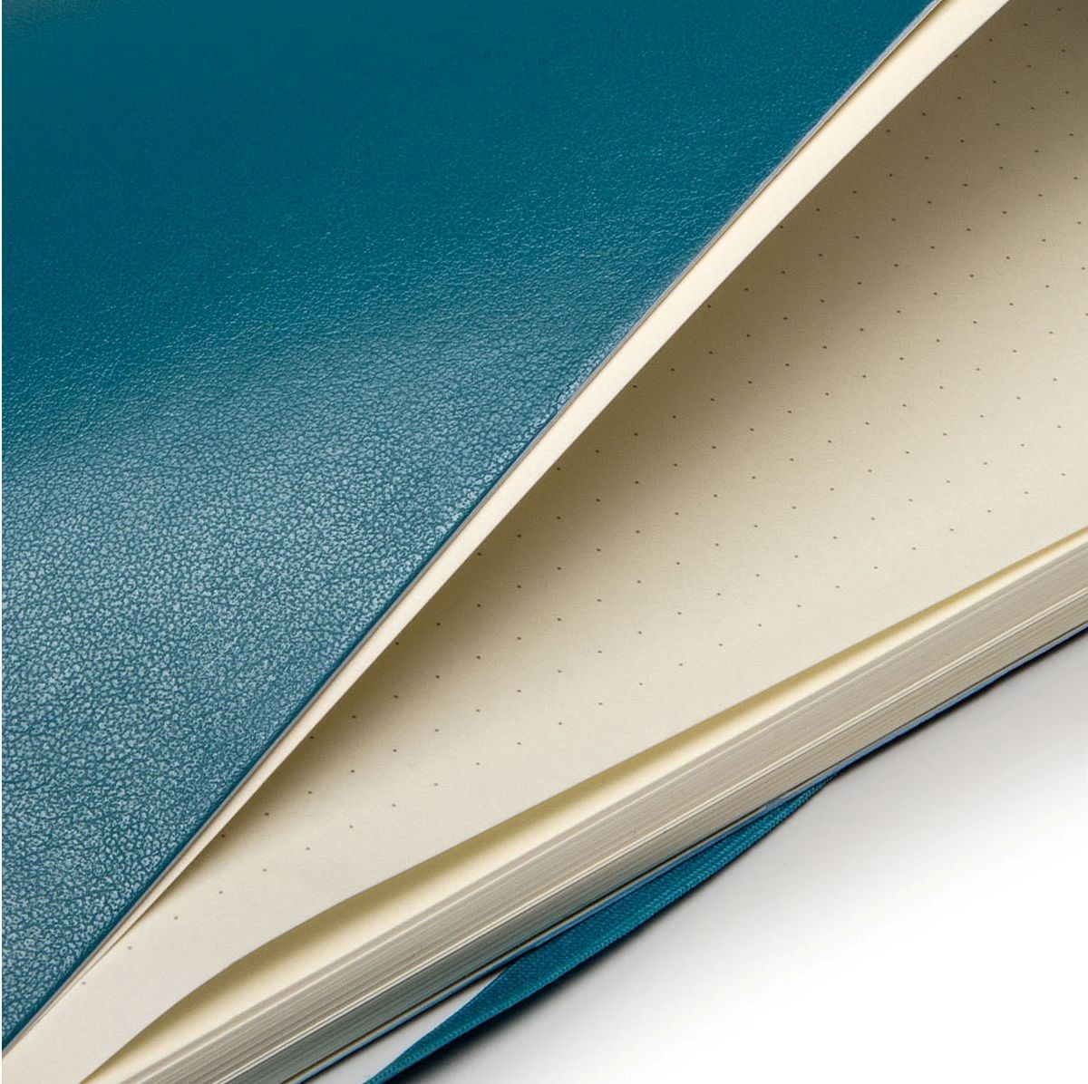 Moleskine Classic Large Dotted Notebook: Underwater Blue