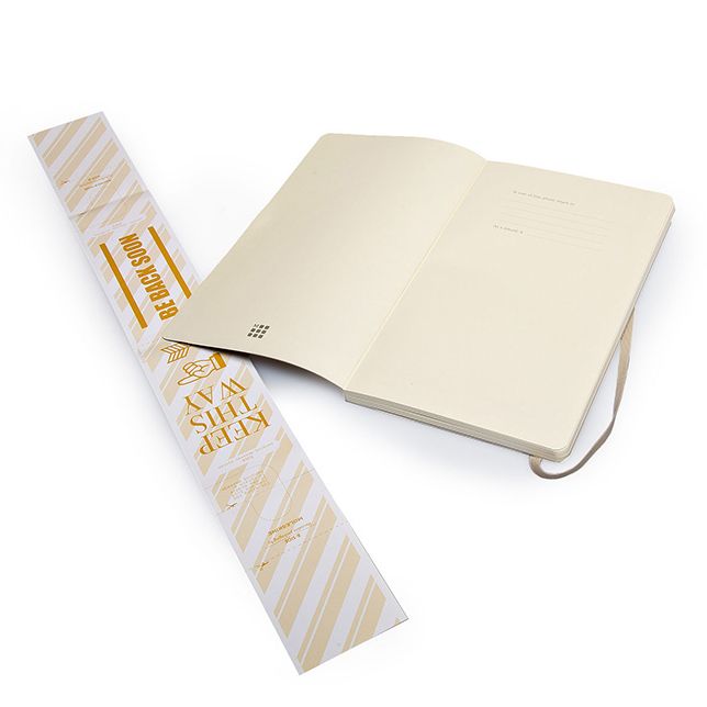 Moleskine Classic Large Plain Notebook: Khaki Beige