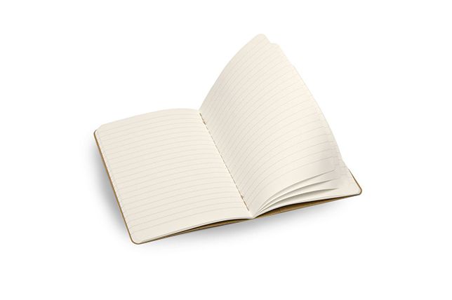 Moleskine Evernote Journal with Smart Stickers, Pocket, (Set of 2), Ruled, Kraft Brown, Soft Cover (3.5 X 5.5)