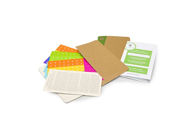 Moleskine Evernote Journal with Smart Stickers, Pocket, (Set of 2), Ruled, Kraft Brown, Soft Cover (3.5 X 5.5)