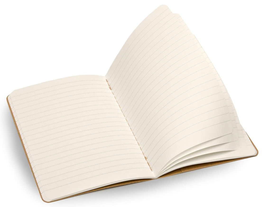 Moleskine Evernote Large Ruled Journal, Set of 2