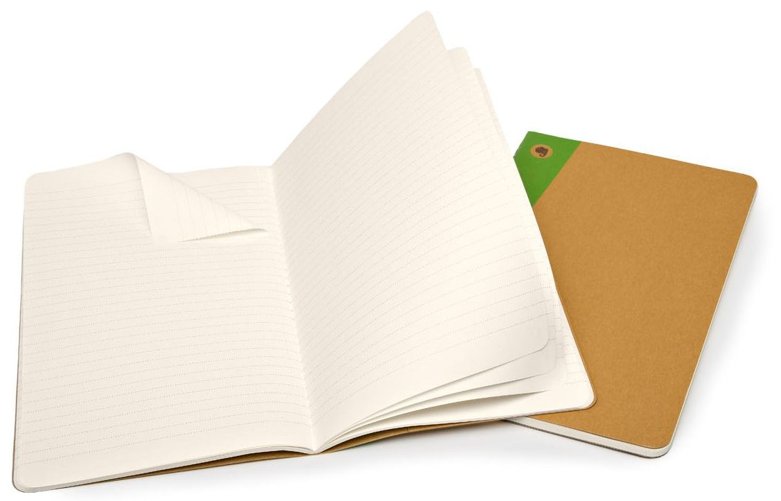 Moleskine Evernote Large Ruled Journal, Set of 2