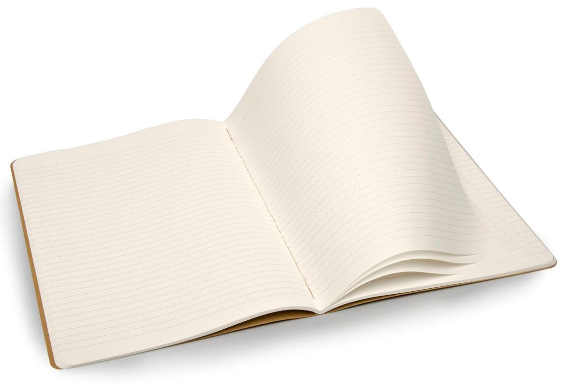 Moleskine Evernote Extra Large Ruled Journal, Set of 2