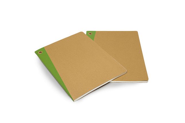 Moleskine Evernote Smart Notebook, Extra Large, Squared, Hard Cover, Set of 2