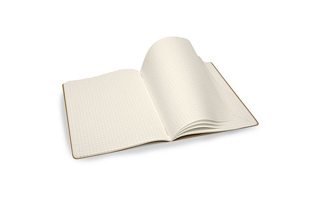 Moleskine Evernote Smart Notebook, Extra Large, Squared, Hard Cover, Set of 2