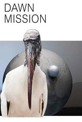 Katja Novitskova: Dawn Mission