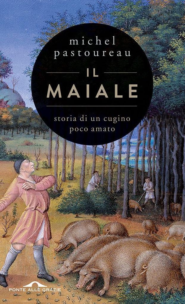 Il maiale: Storia di un cugino poco amato