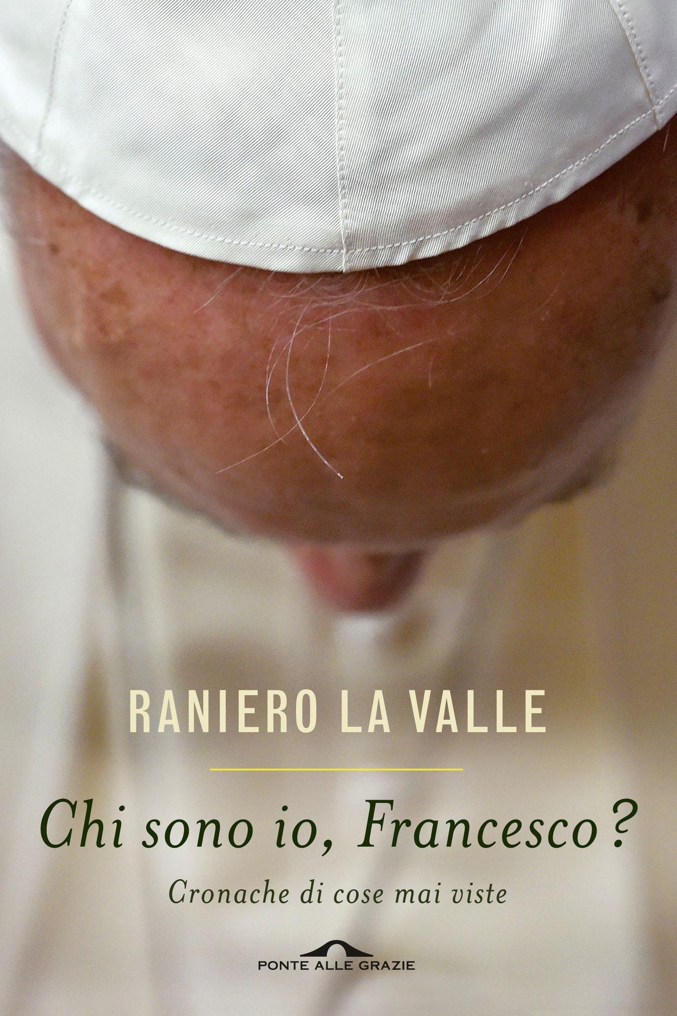 Chi sono io, Francesco?: Cronache di cose mai viste