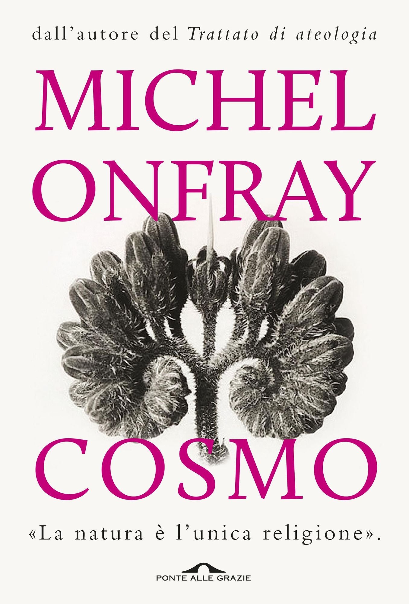 Cosmo: ontologia materialista