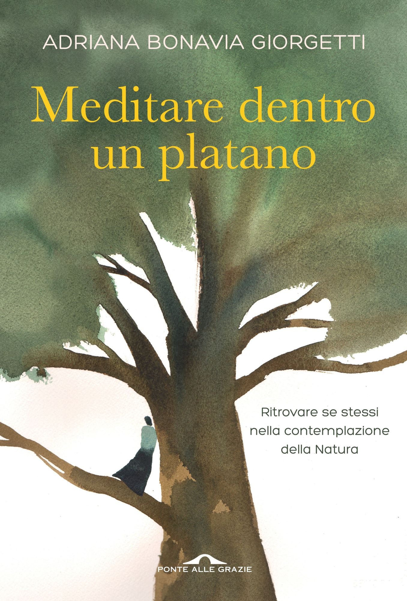 Meditare dentro un platano: Ritrovare se stessi nella contemplazione della Natura
