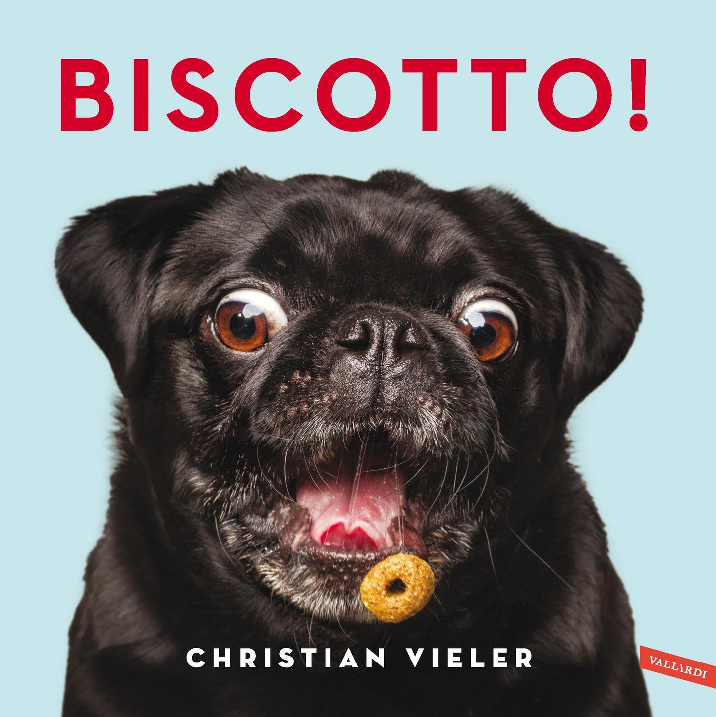 Biscotto!