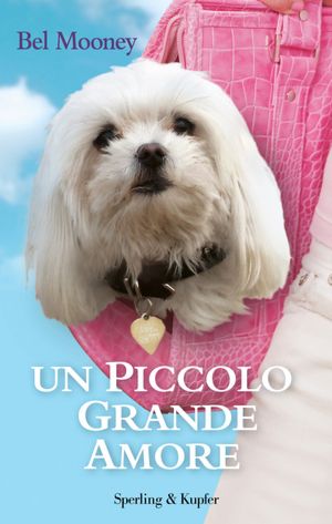 Un piccolo grande amore