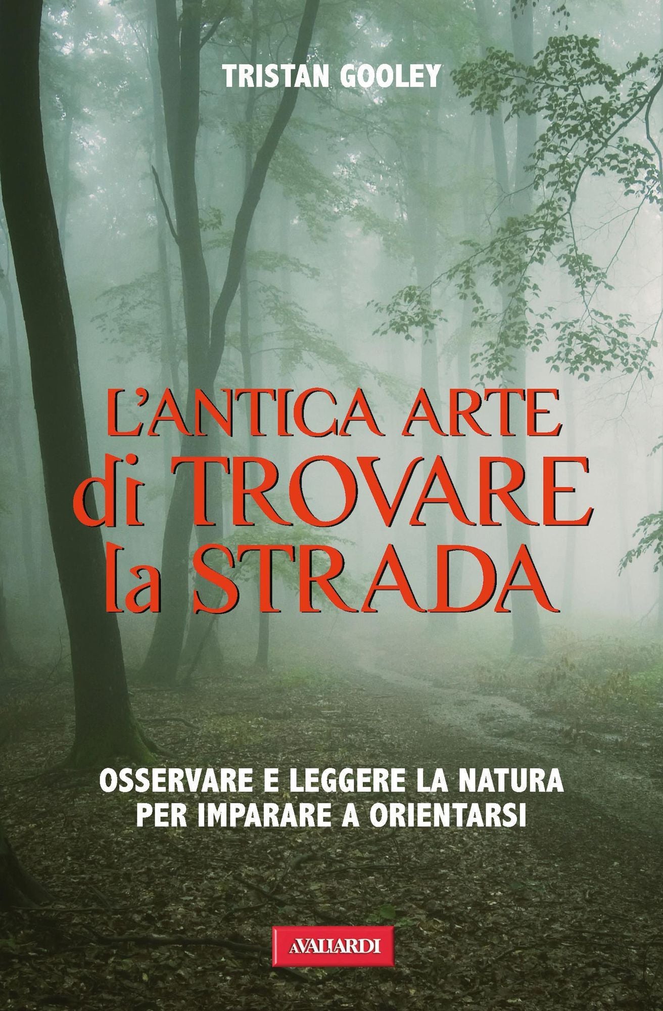 L'antica arte di trovare la strada: Osservare e leggere la natura per imparare a orientarsi
