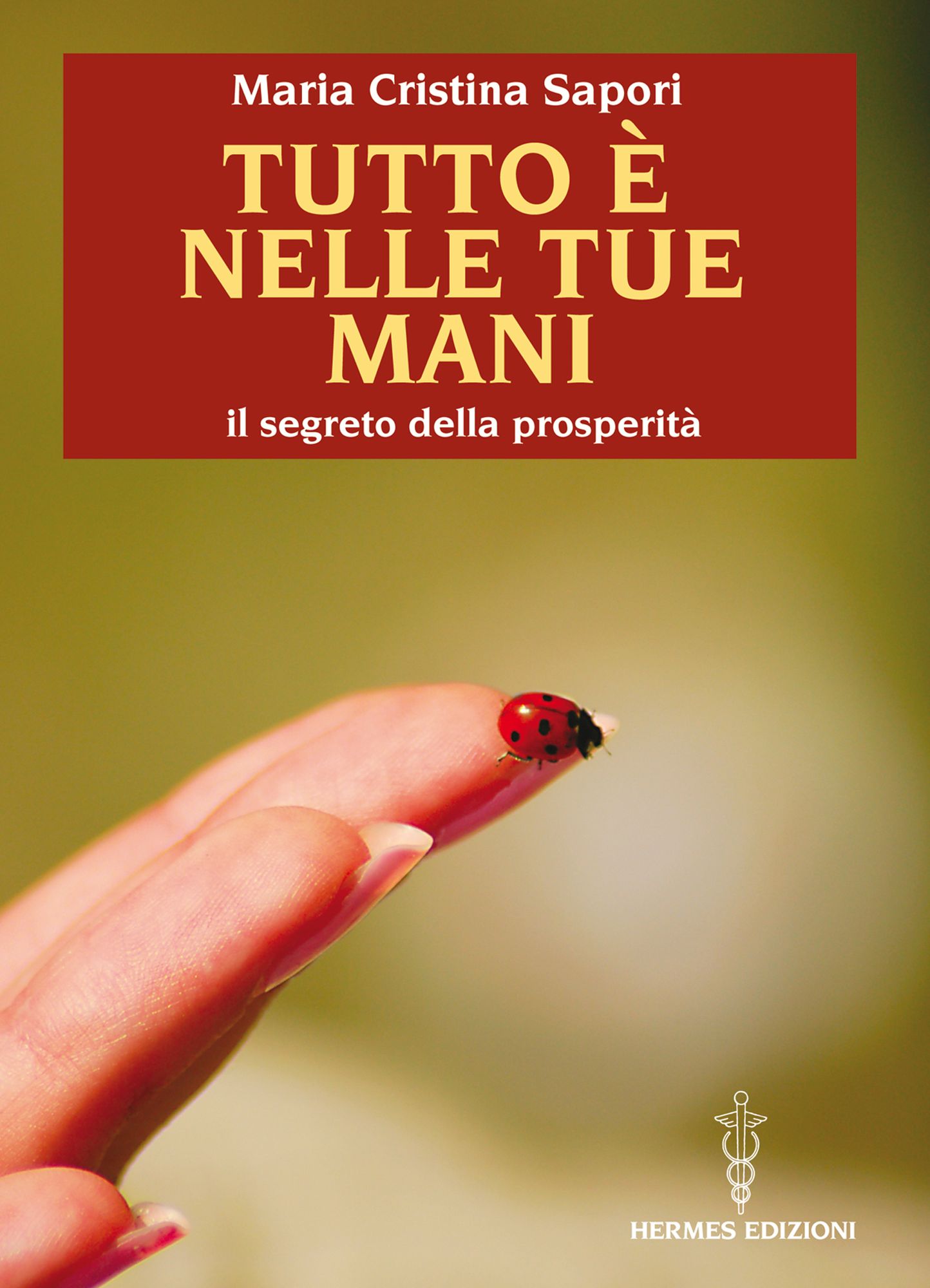 Tutto è nelle tue mani: Il segreto della prosperità