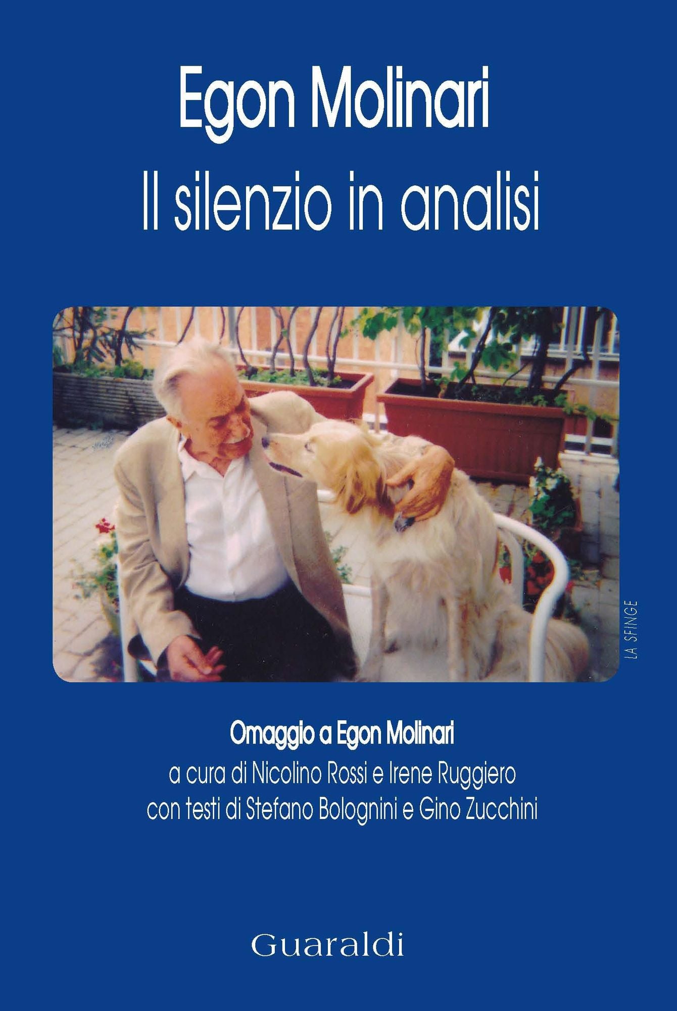 Il silenzio in analisi: Omaggio a Egon Molinari