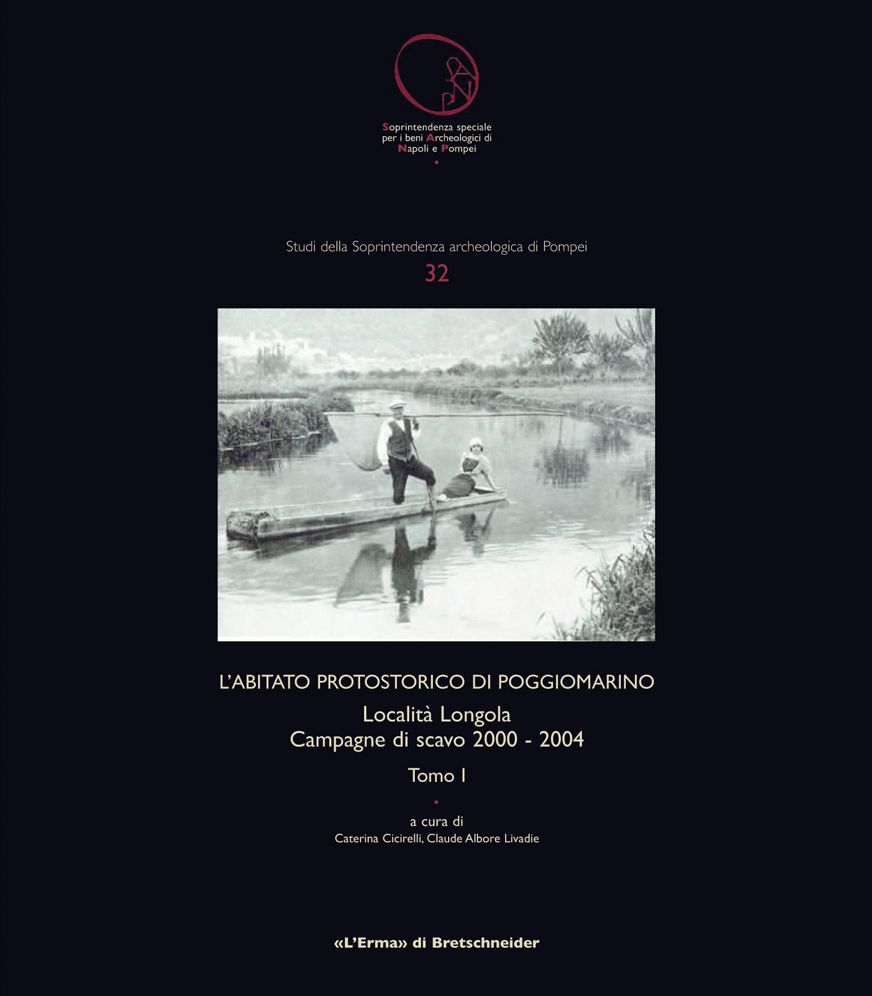 L'Abitato protostorico di Poggiomarino: Localita Longola Campagne di scavo 2000-2004
