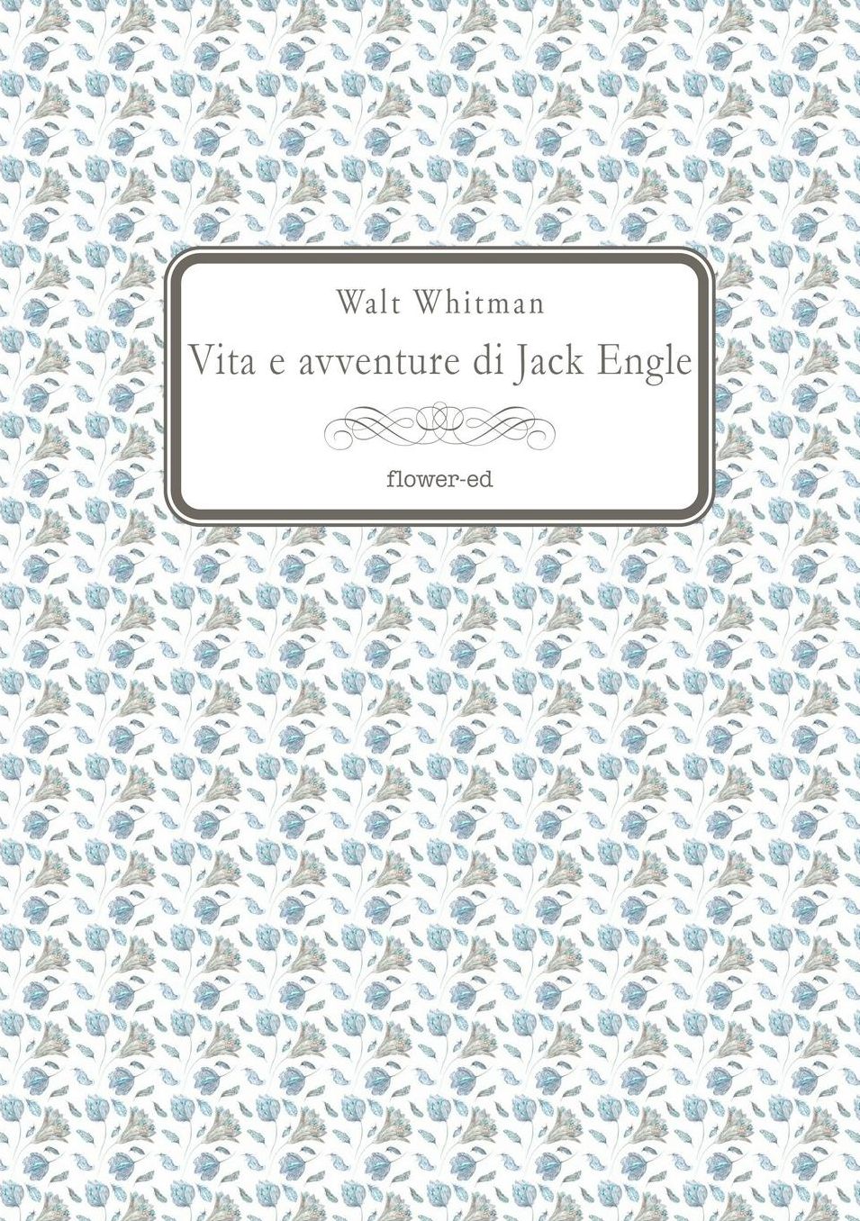 Vita e avventure di Jack Engle