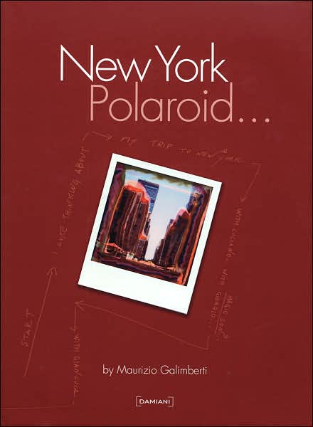 Maurizio Galimberti: New York Polaroid